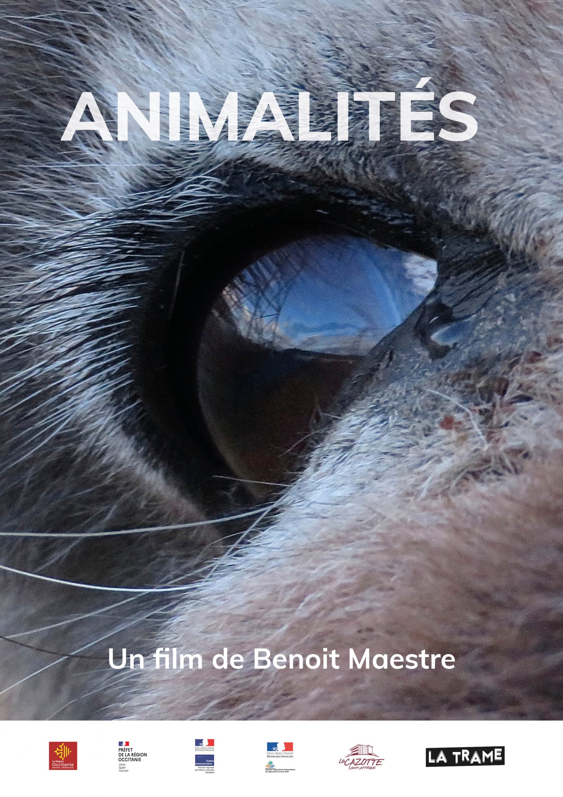 Affiche film Animalits
