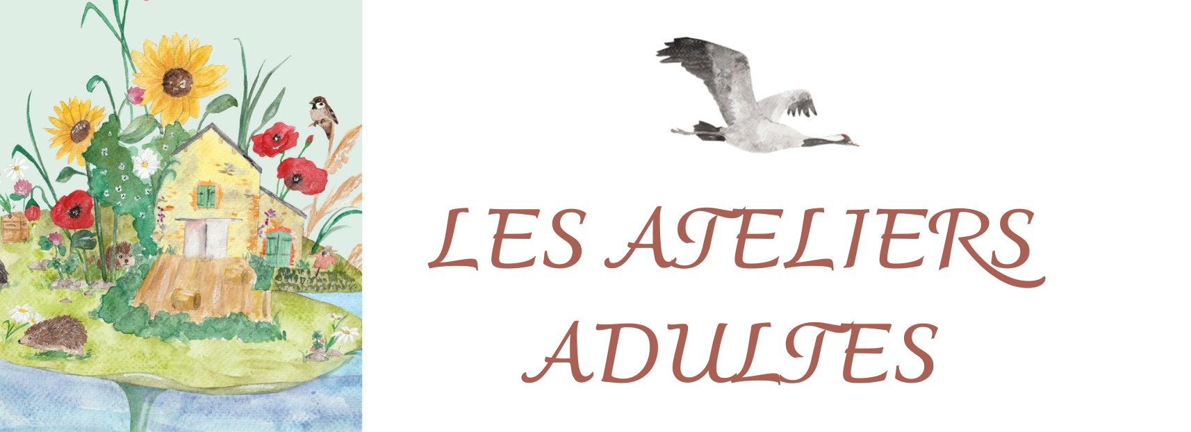 Ateliers adultes